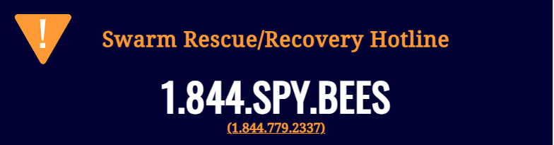 Bee Swarm Rescue Recovery Hotline