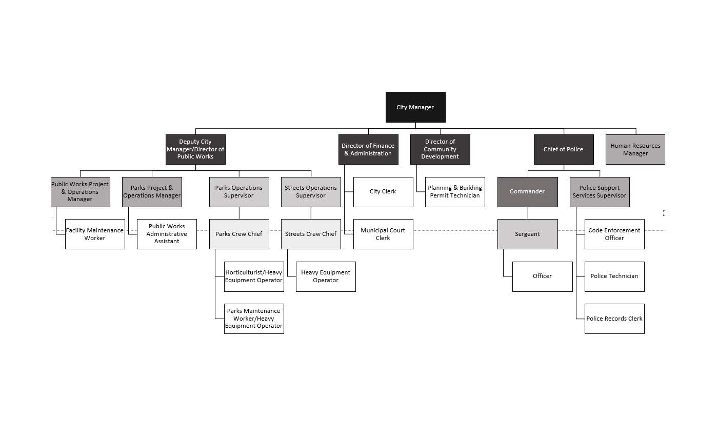 City Manager oversees Department Directors who oversee other employees.